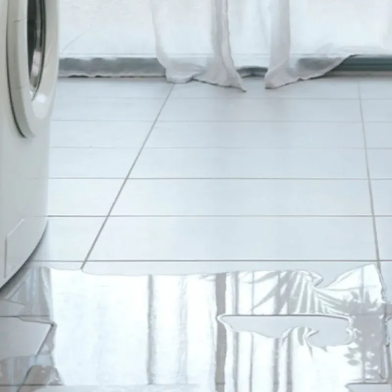 Appliance Leak Cleanup in Calcasieu Parish, LA