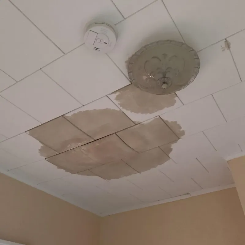 Ceiling Water Damage Repair in Calcasieu Parish, LA